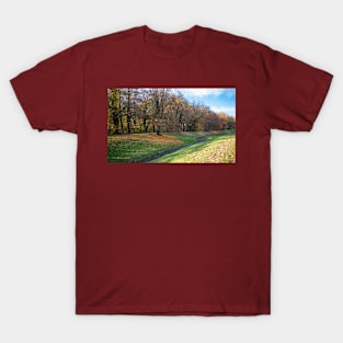 Small pond beside a forest in autumn with falling leaves T-Shirt
